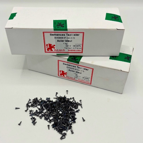 Semences évidées 5mm - 2/2 Semences évidées 5mm - 2/2